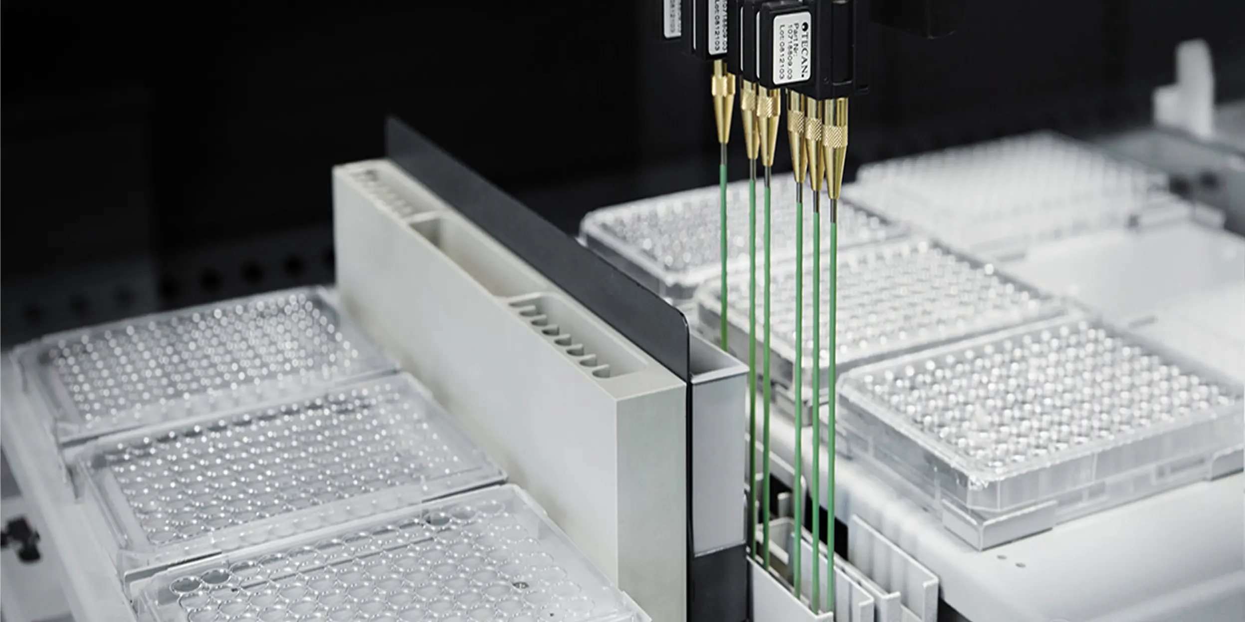 Automation, digitalization solutions