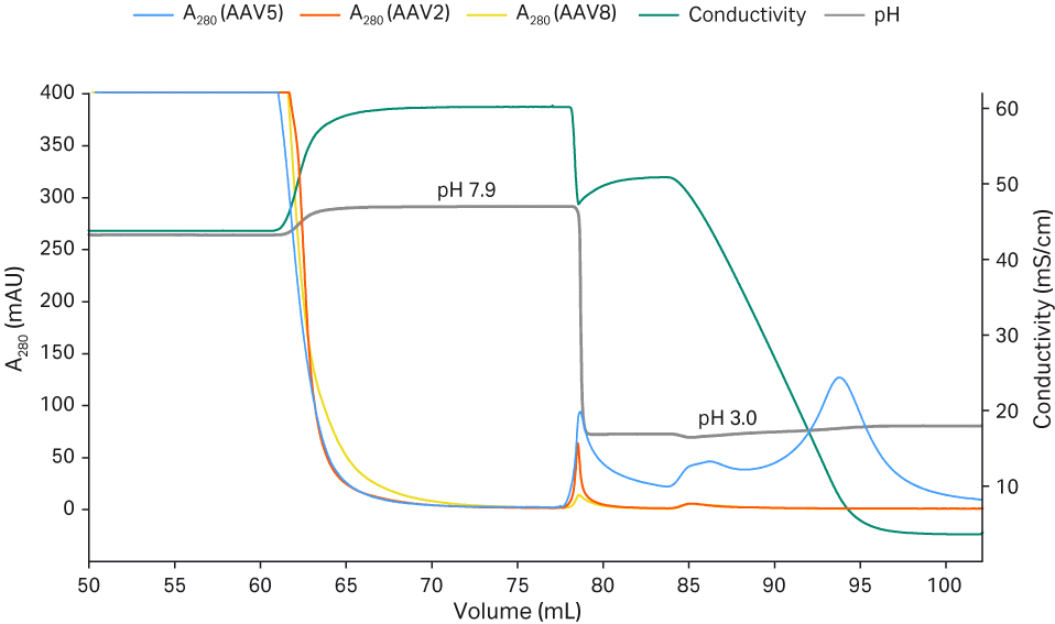Enhanced AAV downstream processing Cytiva