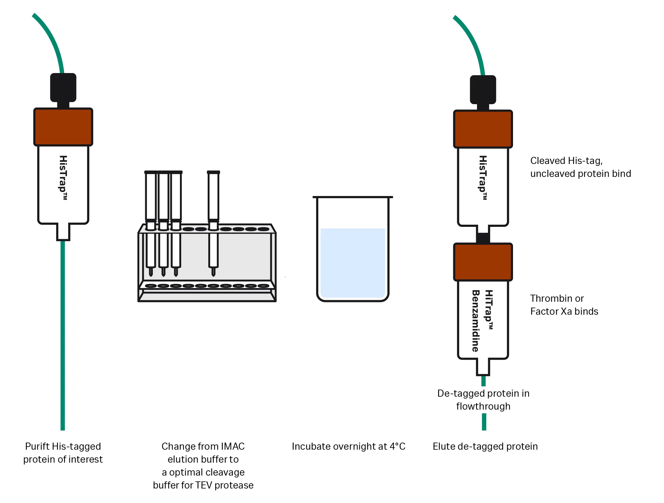 Figure 9 - HISTrap protein purification