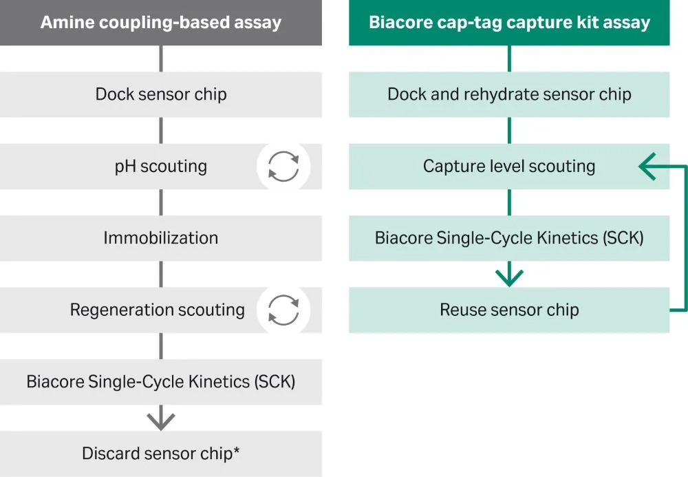 Kinetic characterization using Biacore cap-tag capture kit