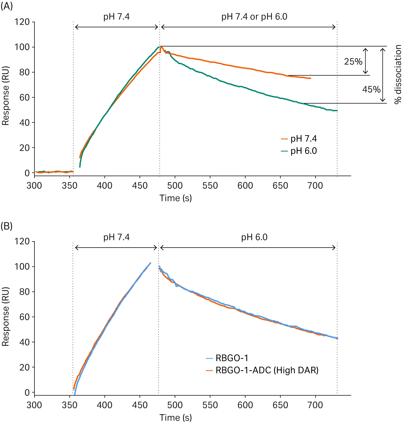 SPR sensorgrams comparing antigen dissociation at ph 7.4 vs pH 6, and comparing antibody and adc binding behavior at acidic pH.