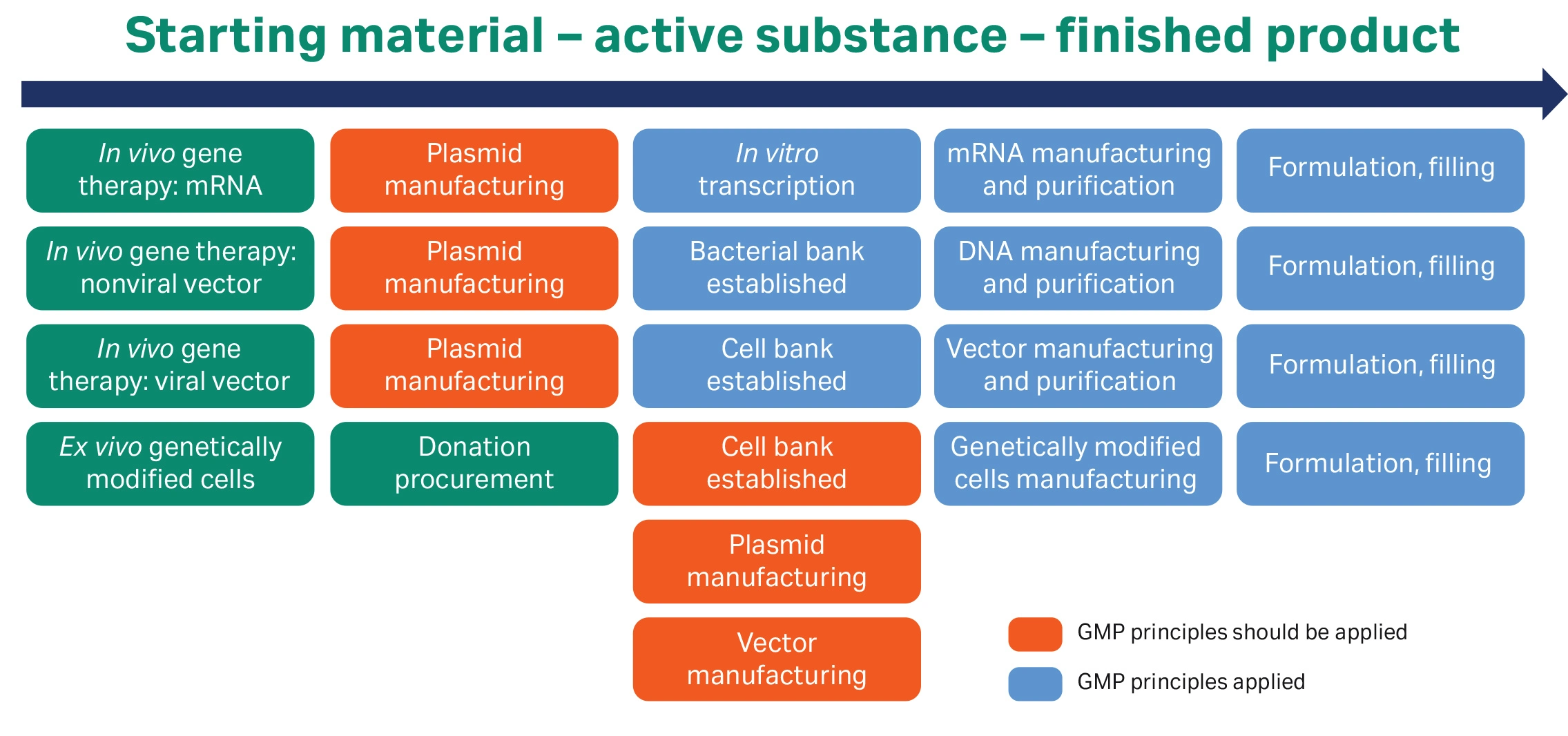 Overview of where GMP principles apply for pDNA manufacturing.