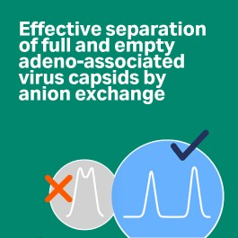 Effective separation of full and empty adeno associated virus capsids by anion exchange