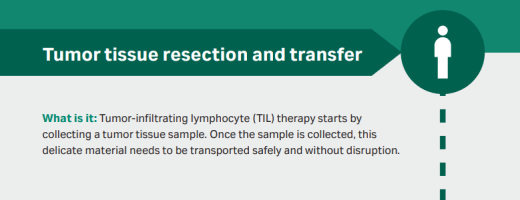 Link to TIL infographic