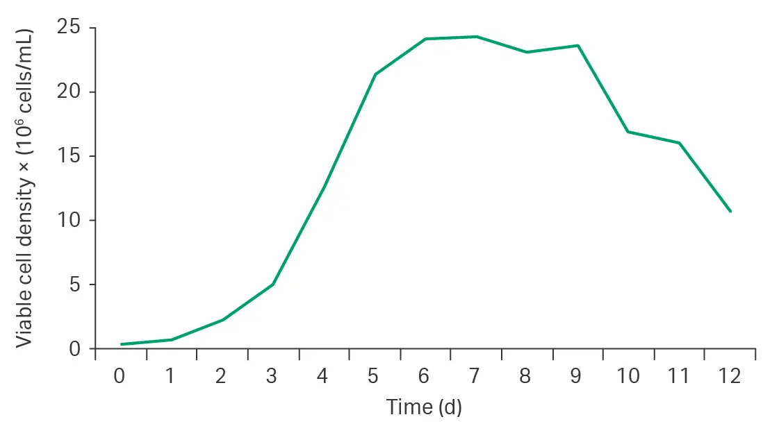Growth of CHO-S cells cultured in fed-batch mode
