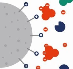 Image showing anion exchange chromatography