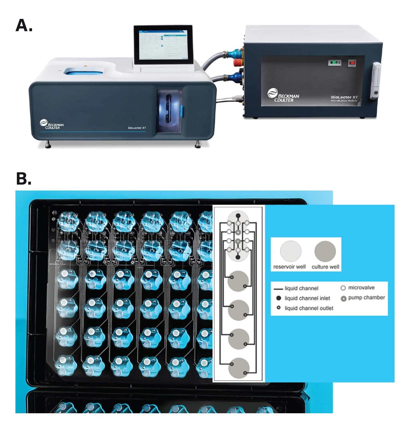 Beckman Coulter BioLector XT Microbioreactor and microfluidic microplate