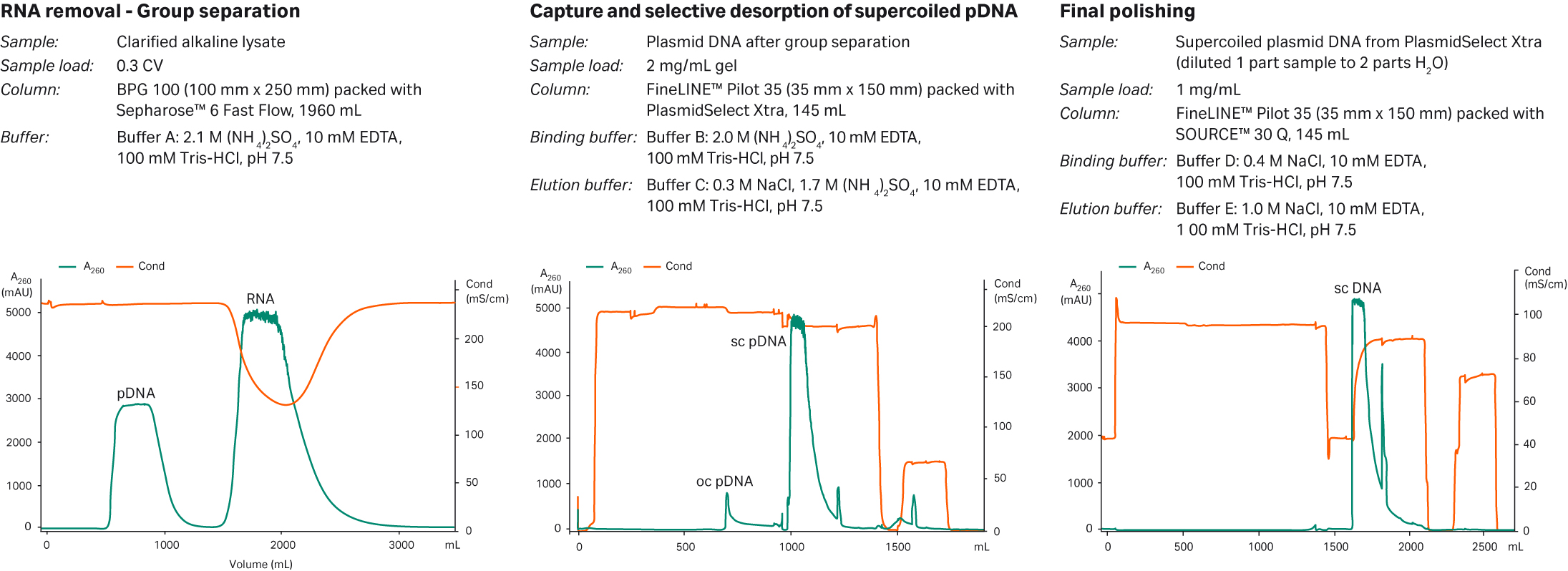 Purification of supercoiled plasmid DNA at pilot scale