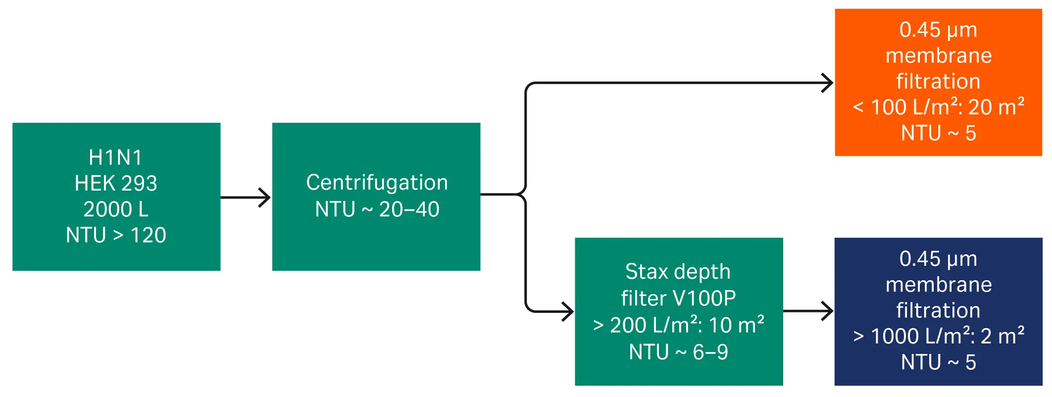 Impact of a cell removal filtration using Seitz™ V100P depth filter on the downstream process