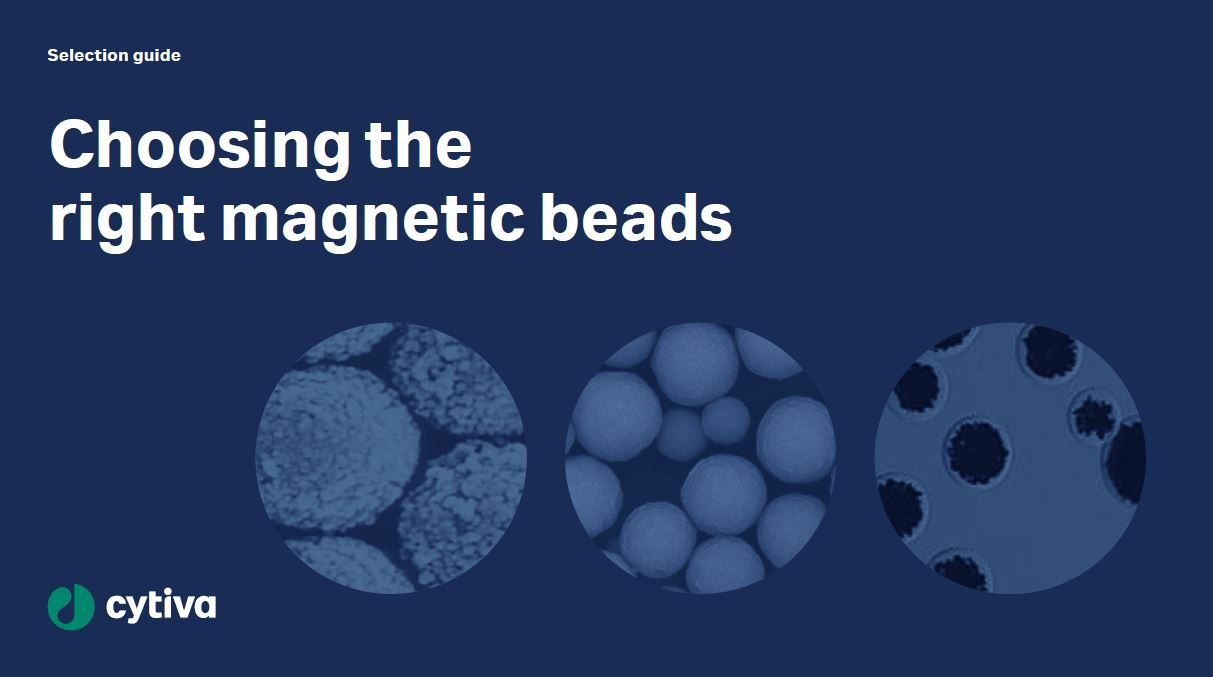 Selection guide: Choosing the right magnetic beads