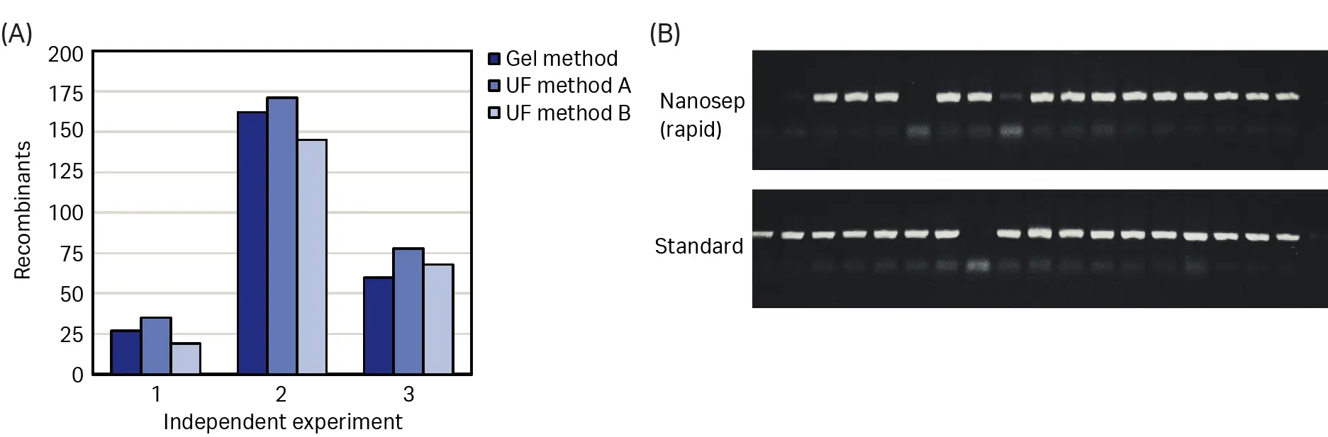 Bar chart and gel electrophoresis images showing numbers of recombinant colonies and PCR screening results, comparing standard gel purification with two ultrafiltration-based cloning methods.