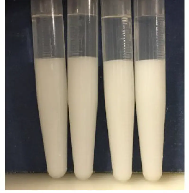 Photo showing samples from the top and bottom of the mixing bag after mixing and centrifugation