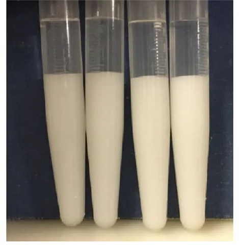 Photo showing samples from the top and bottom of the mixing bag after mixing and centrifugation