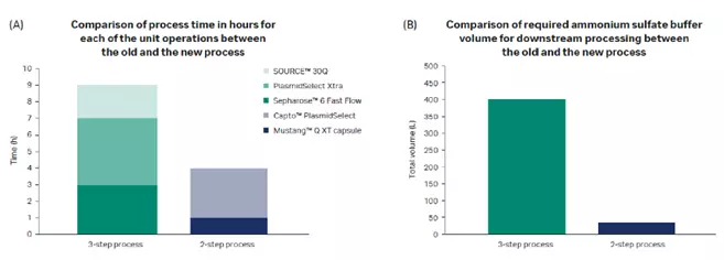 Chromatography for pDNA