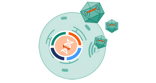 ELEVECTA stable producer cell line 2.0