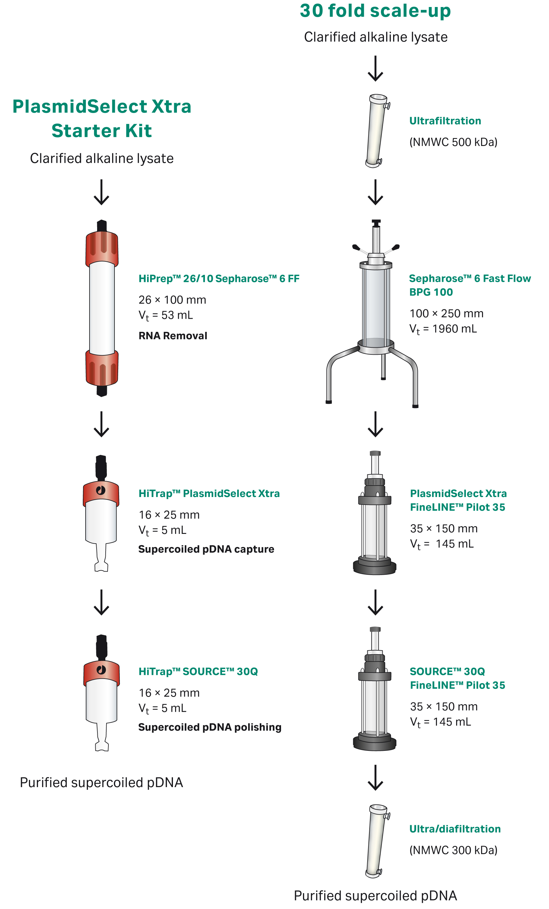 plasmid dna isolation