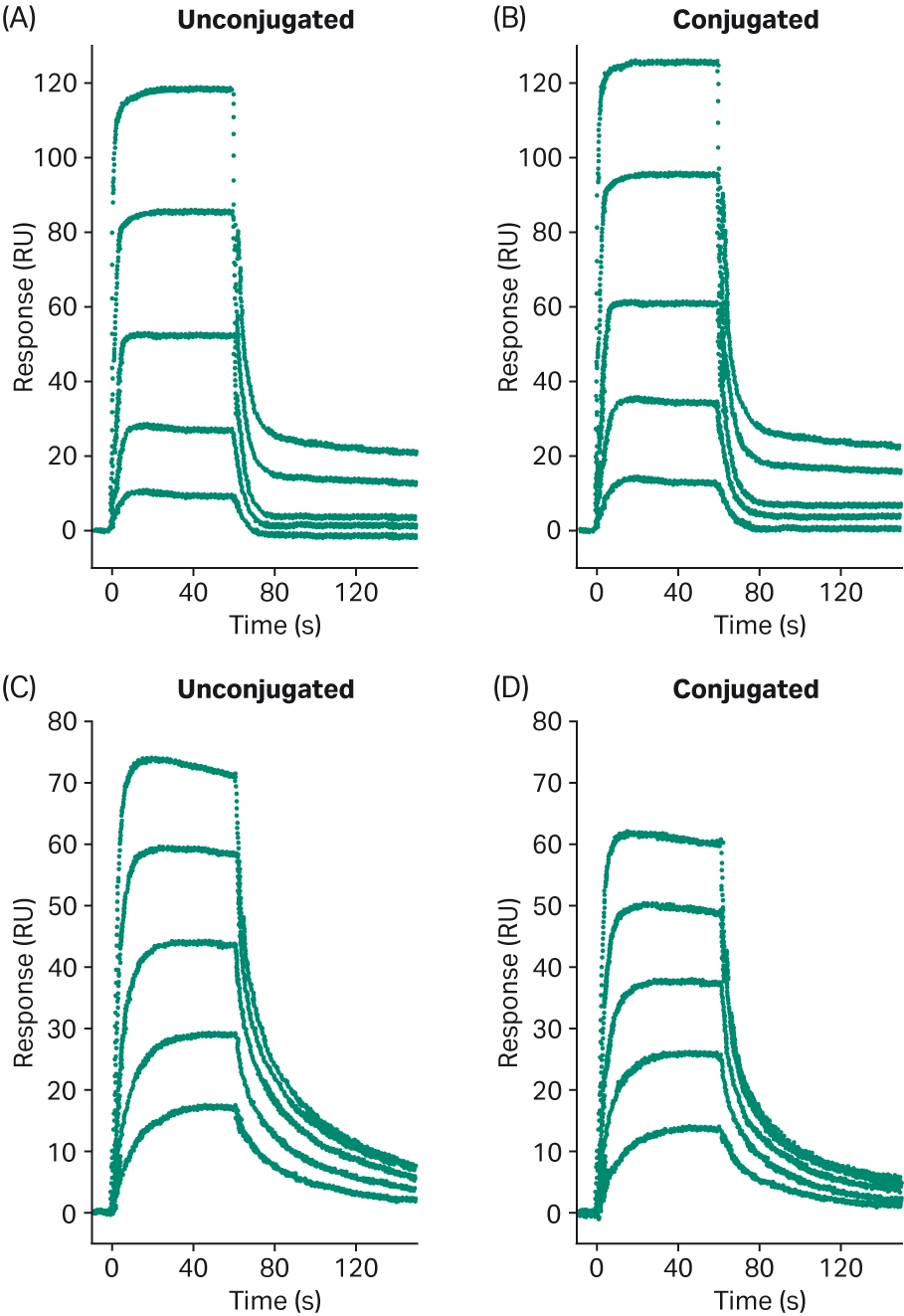 SPR sensorgrams showing binding of cd32b fc receptor to adcs with different linker chemistries, including one linker that significantly reduces binding affinity.