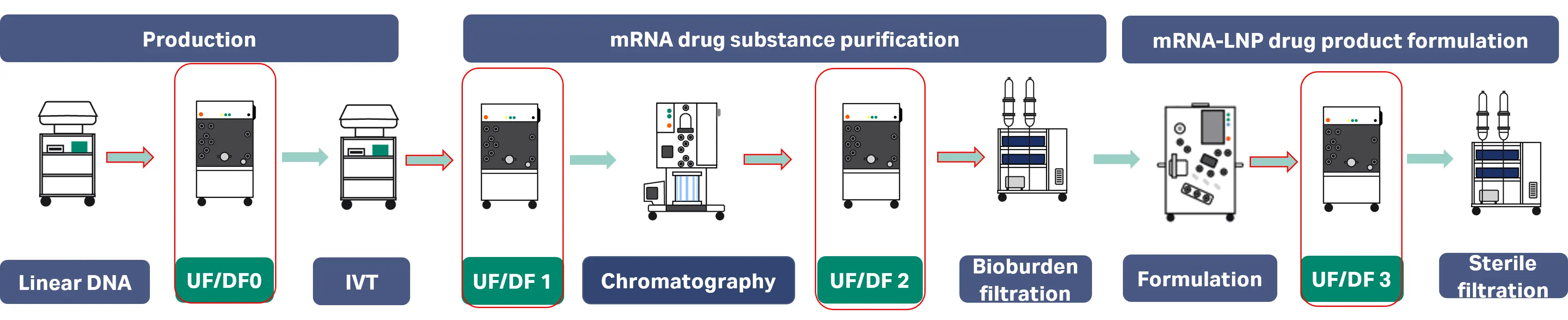 Overview of the mRNA manufacturing process