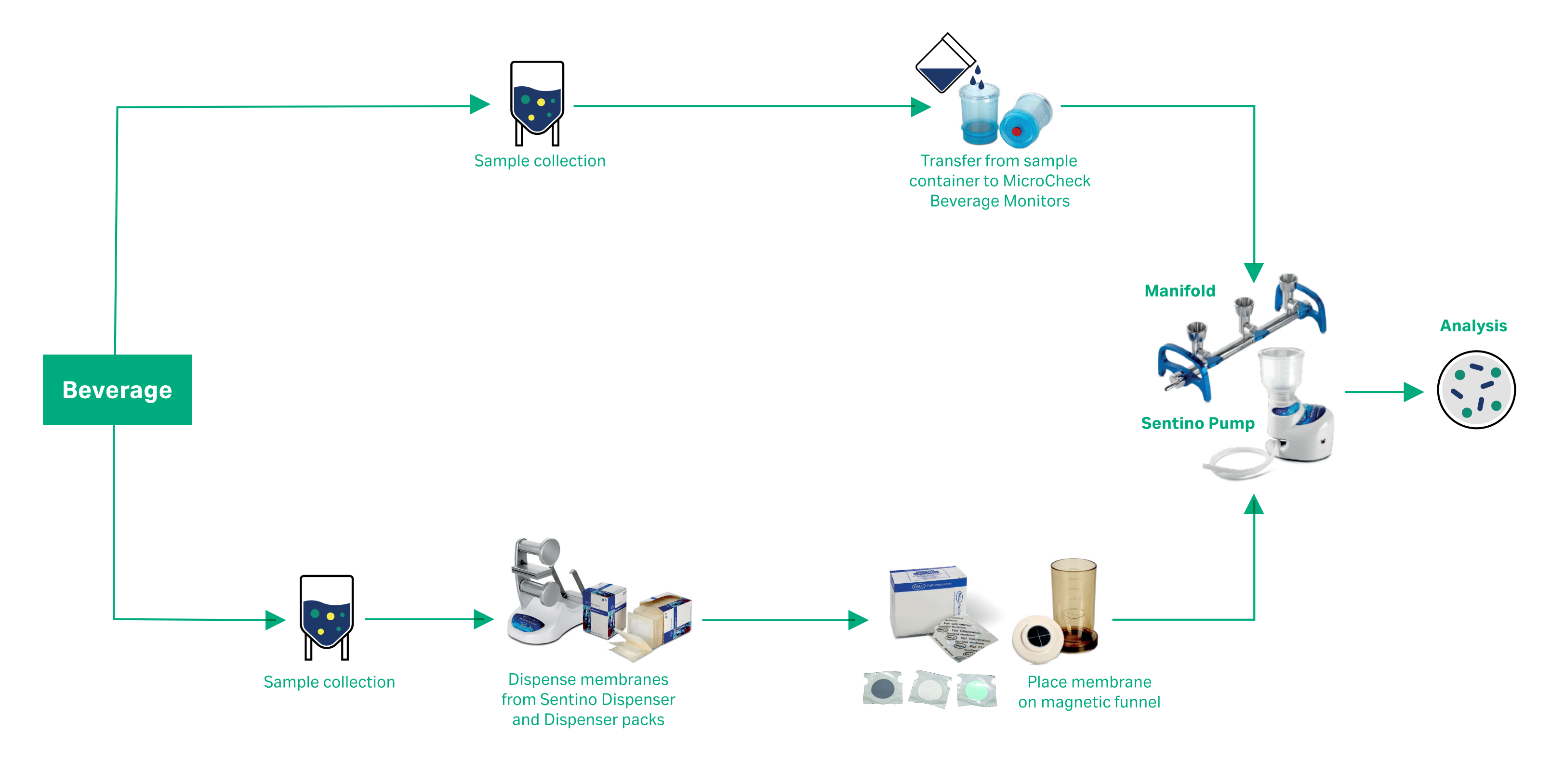 Detection of food spoilage organisms Cytiva