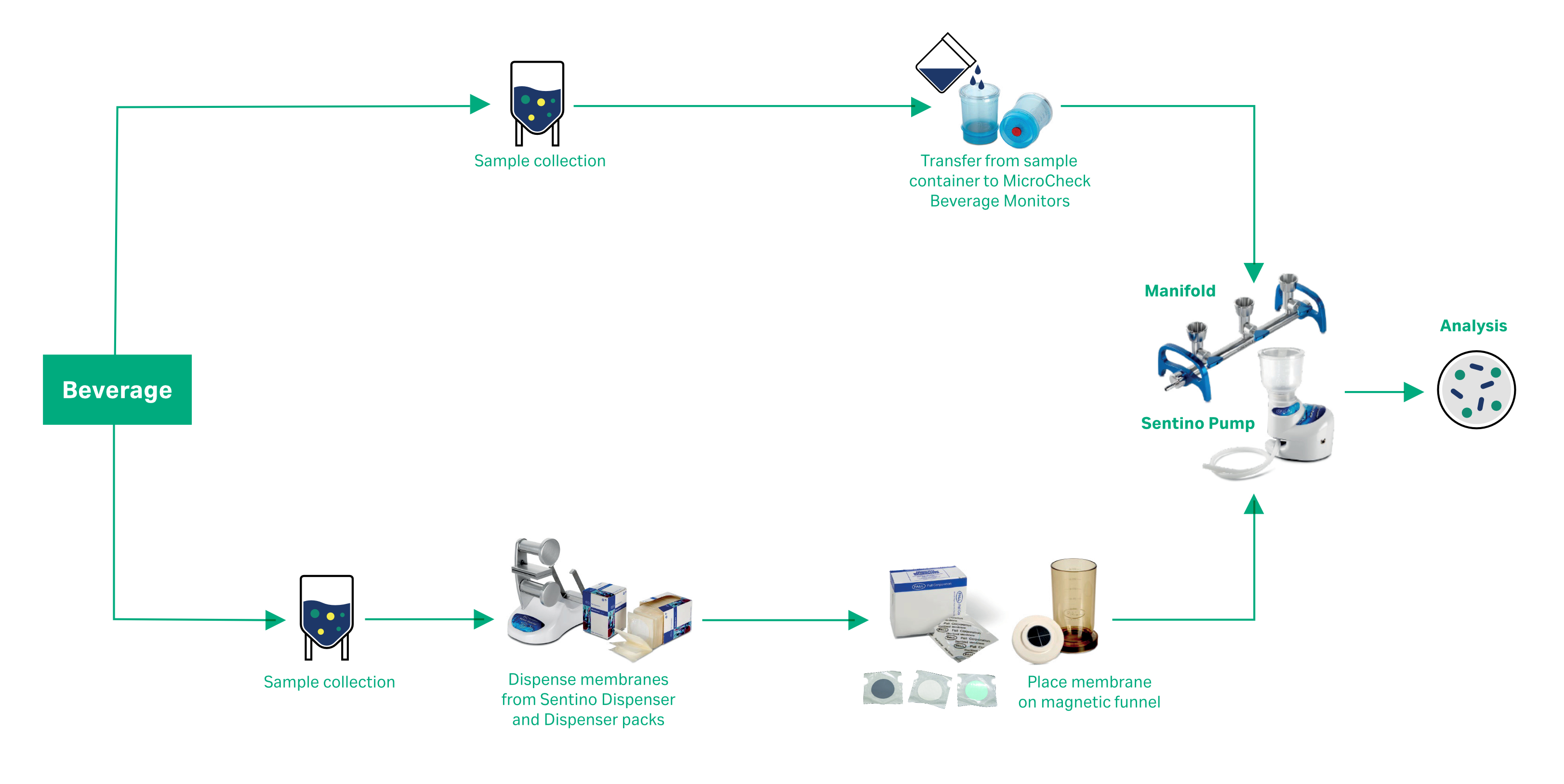 Microbiology workflow approaches using Cytiva products.