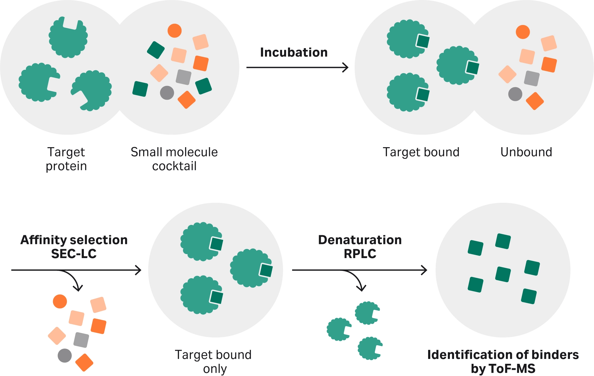 Affinity-selection mass spectrometry (ASMS)