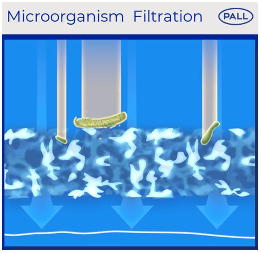 Principal mechanisms of IV filtration Cytiva