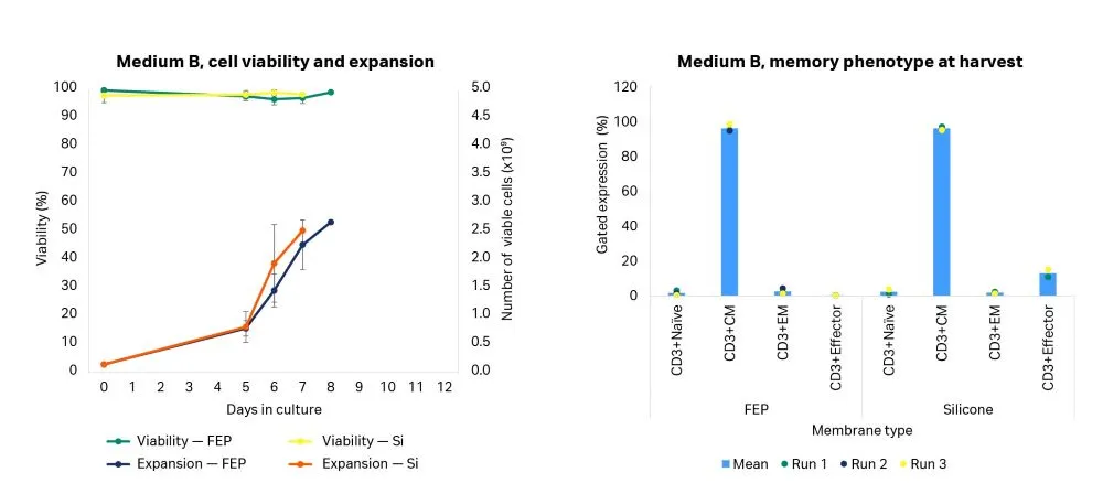 T cell viability, expansion, and memory phenotype at harvest on Sefia™ expansion system, cell culture medium B.