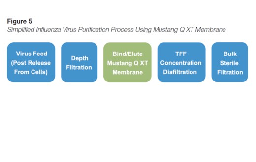 influenza-virus-purification-mustang-q-xt-520x330.png