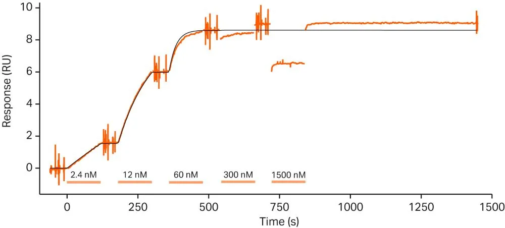 Kinetic characterization using Biacore™cap-tag capture kit