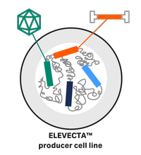 ELEVECTA producer illustration