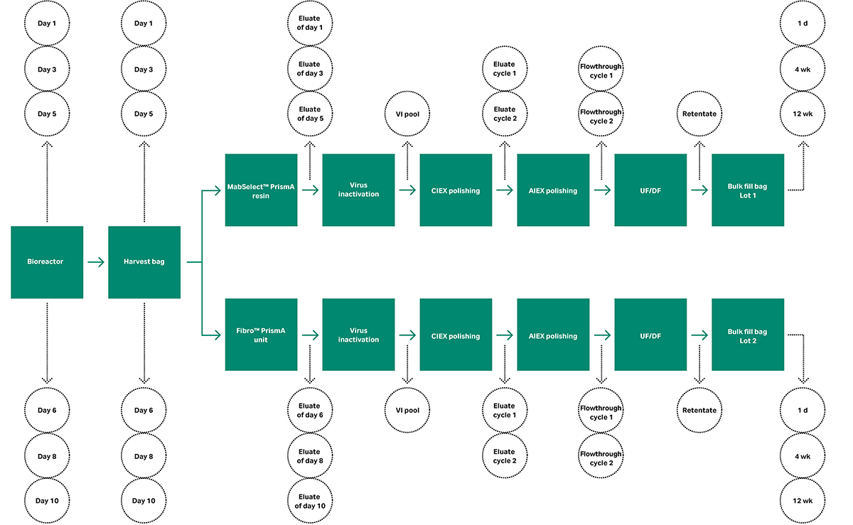 process with two separate purification trains 