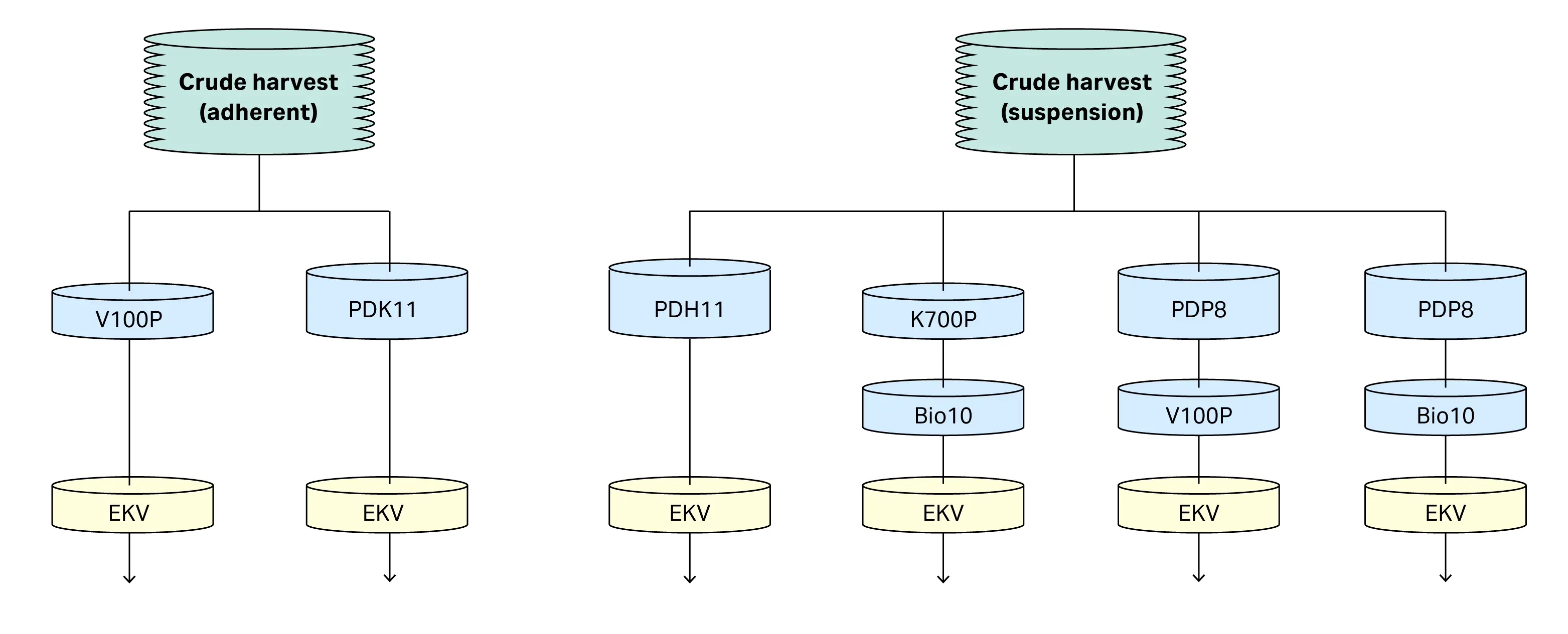 Combinations of Seitz™ depth and membrane filters, followed by Supor® EKV sterilizing grade filters used in this study. 