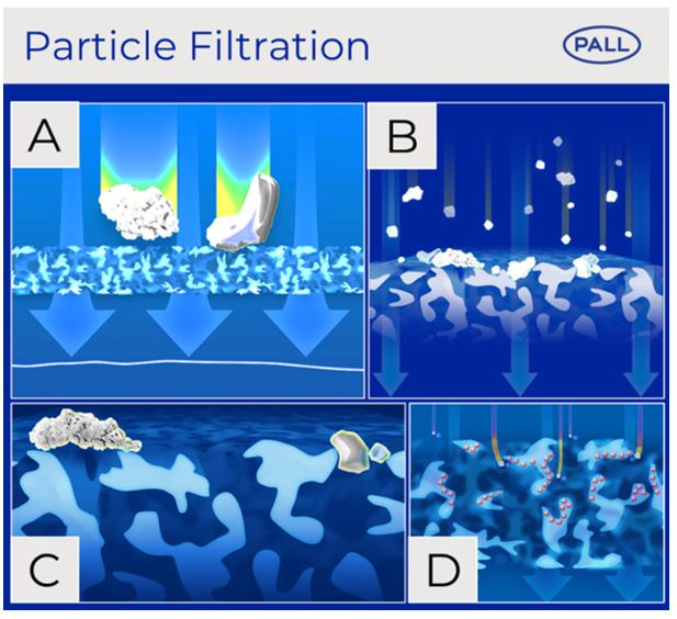 Principal mechanisms of IV filtration Cytiva
