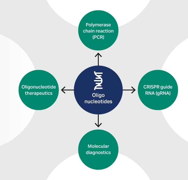 The  oligo synthesis cycle