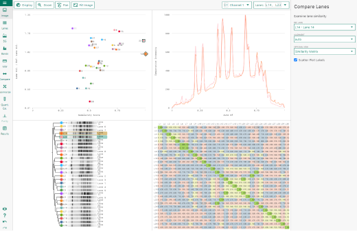 ImageQuant™  TL software screen shot of comparison feature