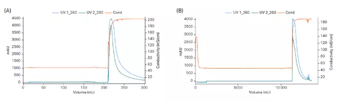 Chromatography for pDNA