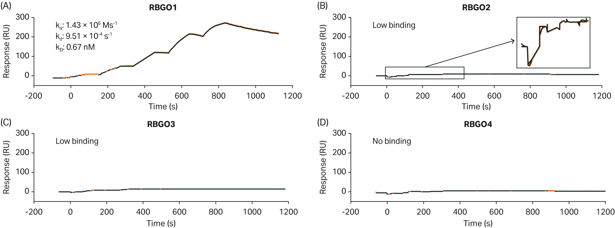 set of four spr sensorgrams showing binding responses of rbg01 with strong interaction, rbg02 and rbg03 with low binding, and rbg04 showing no binding to the rrage antigen.