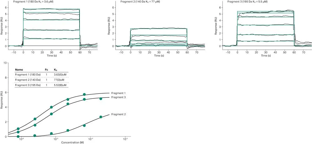 SPR sensorgrams showing fragment hits with varying response and kinetics for a GPCR
