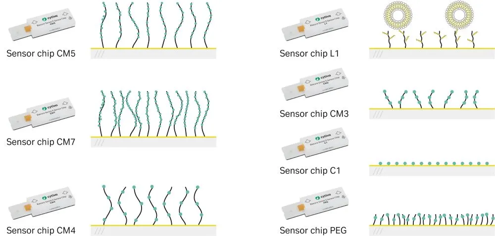 Product illustration of multiple Cytiva Biacore sensor chip types.