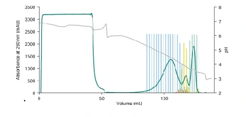 Optimizing homodimer removal and aggregate reduction for a  bispecific antibody using affinity chromatography