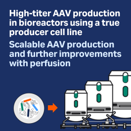 ELEVECTA™ producer cell line webpage card image 265 x 265