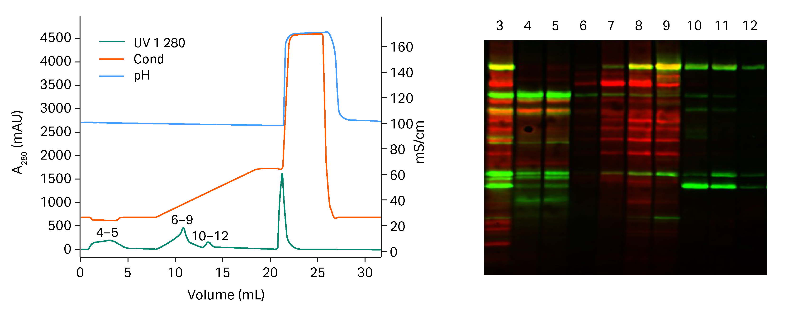 Qualification LifeCycle