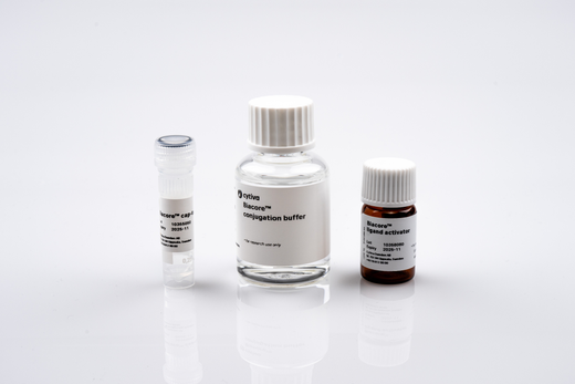 Biacore cap-tag conjugation kit