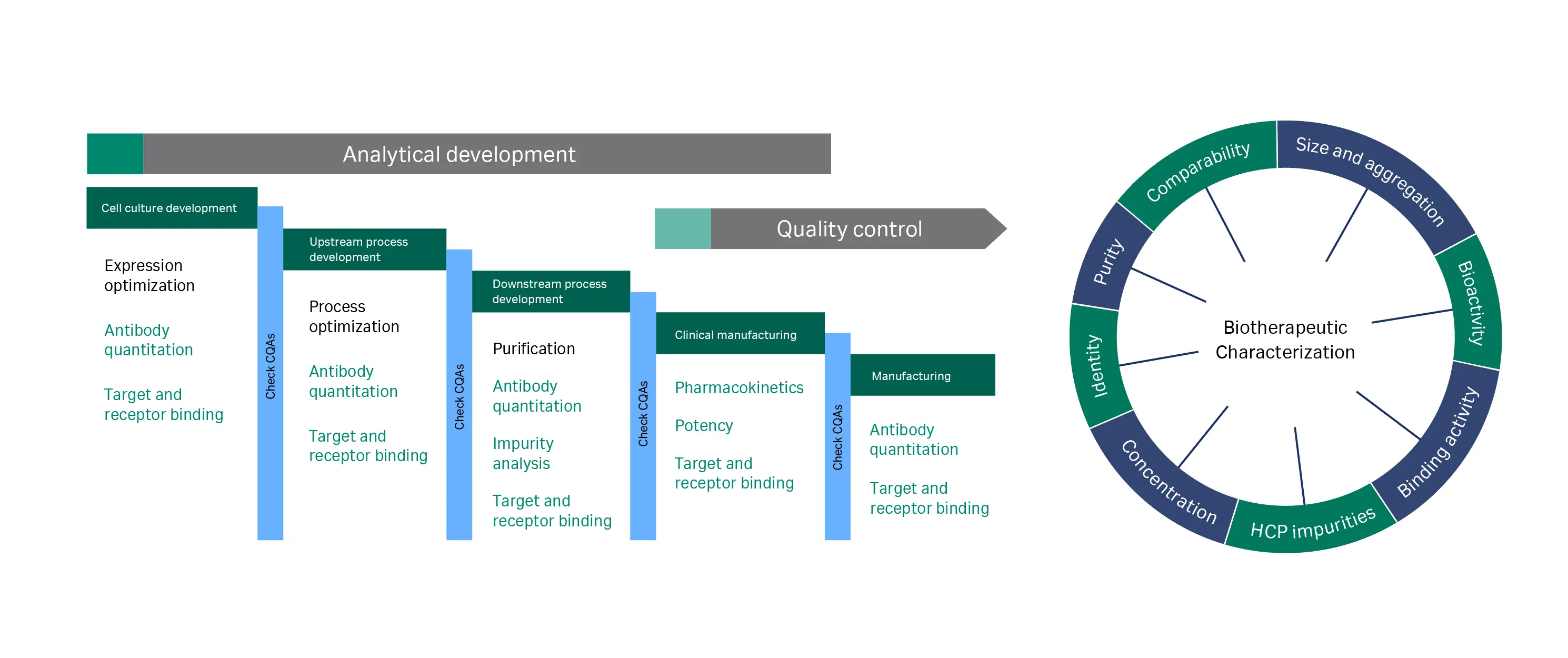 CQAs in biotherapeutics development and manufacturing. Biacore™ systems