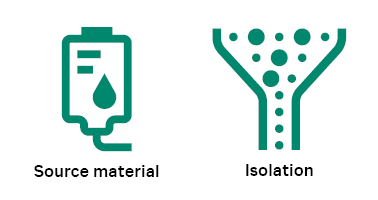 Initial workflow steps