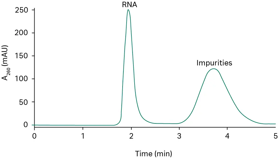 RNA quantification before fibro dT purification