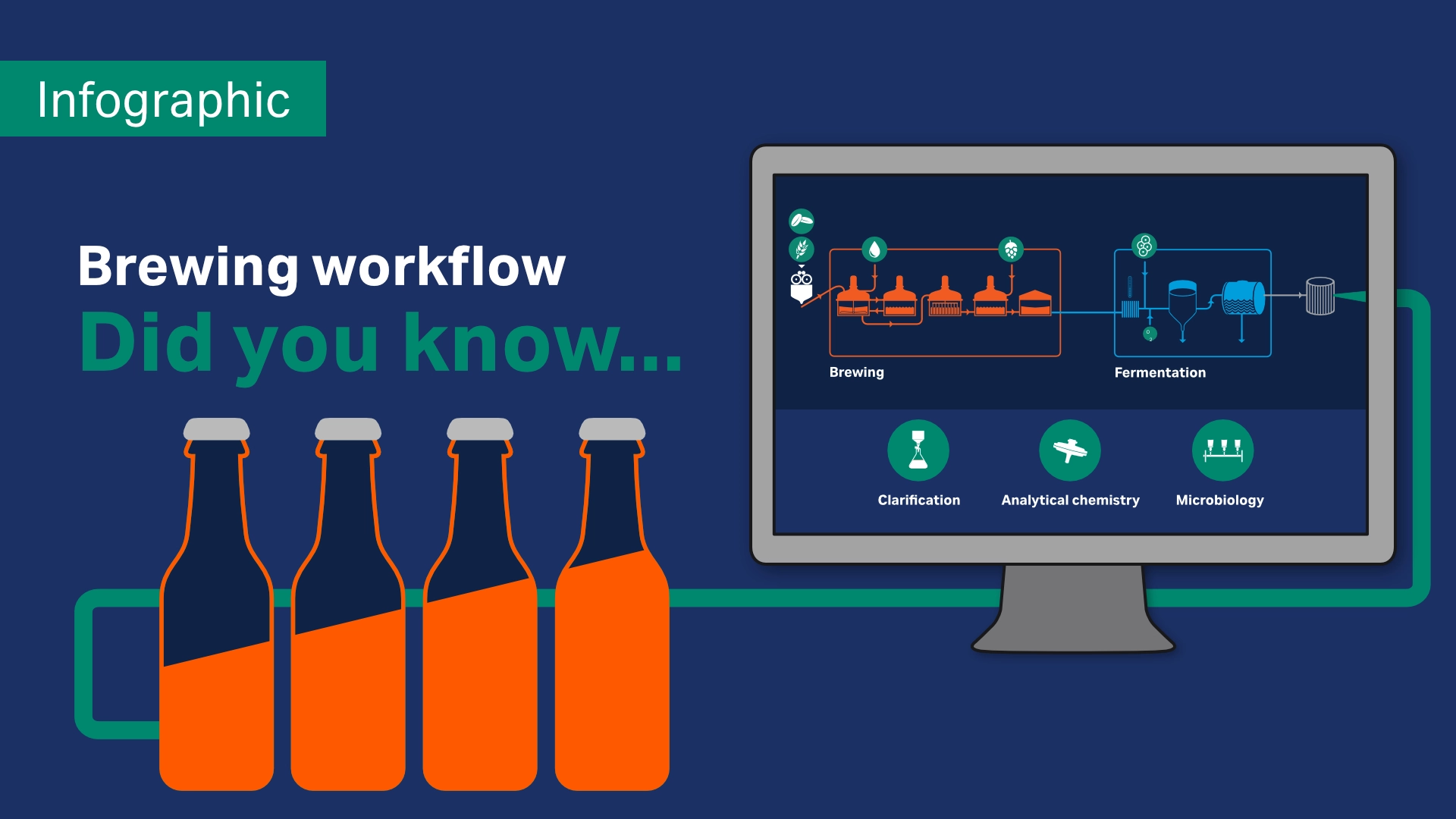 Infographic beer brewing workflow