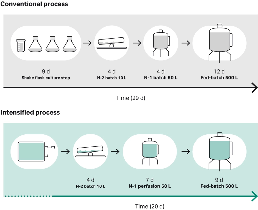 Increased throughput of intensified seed train versus convential