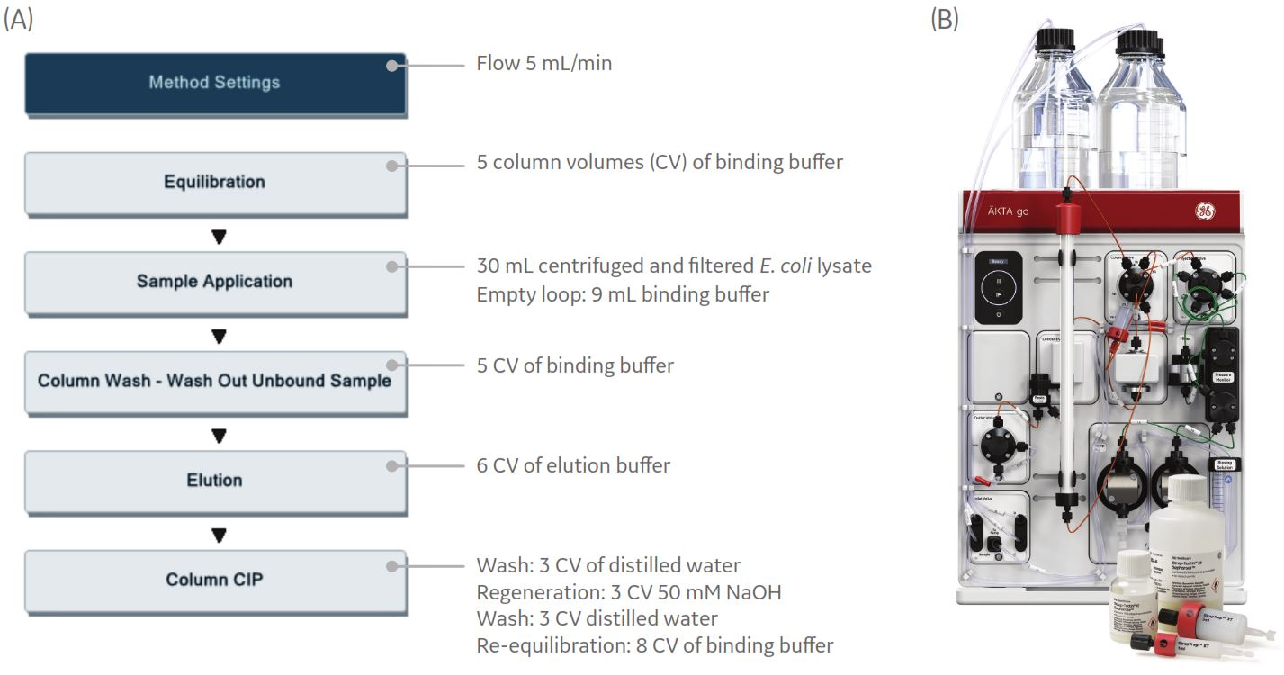 Predefined method in UNICORN software for affinity chromatography of a Strep-tag recombinant protein on ÄKTA go chromatography system.