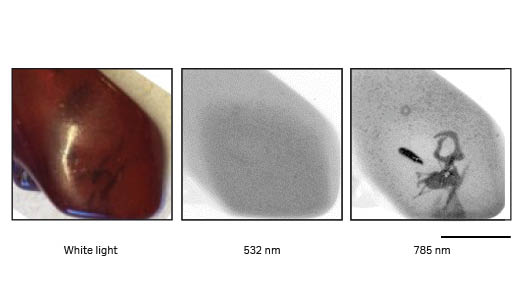 Polished amber image